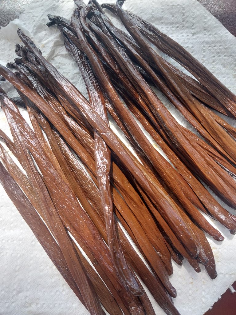 Vanilla bean grade A planifolia