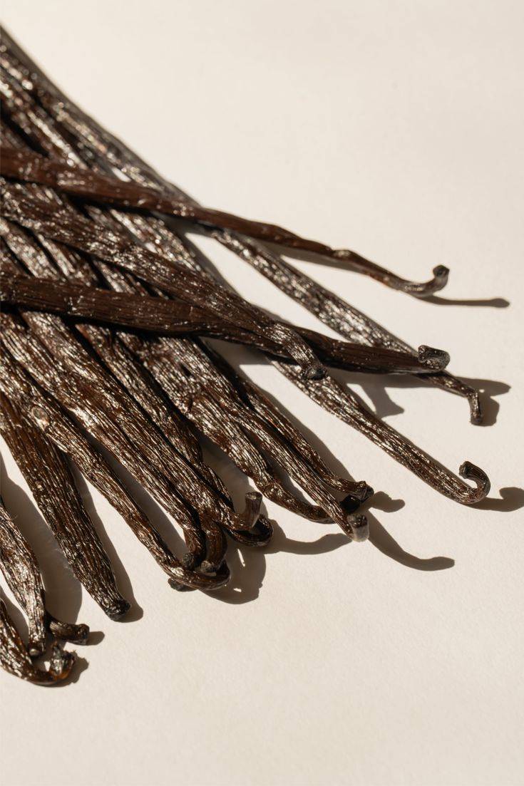 vanilla beans vanilla beans