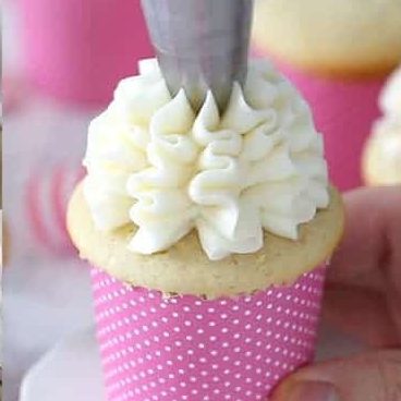 vanilla cupcake