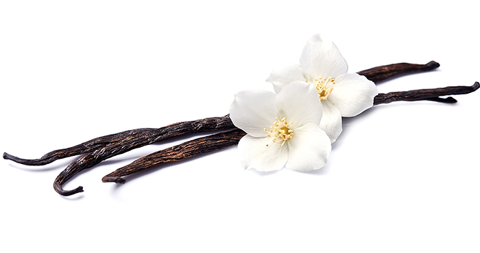 Vanilla Beans Supplier for Worldwide - King Vanilla Indonesia