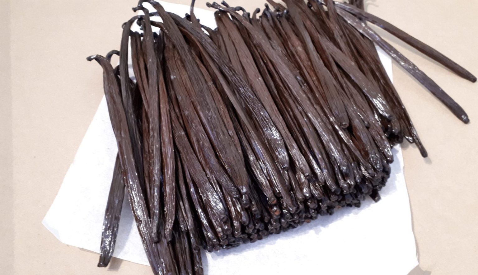 Buy Tahitian vanilla beans in bulk
