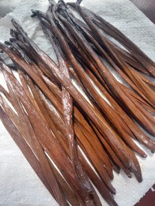 Vanilla bean grade A planifolia